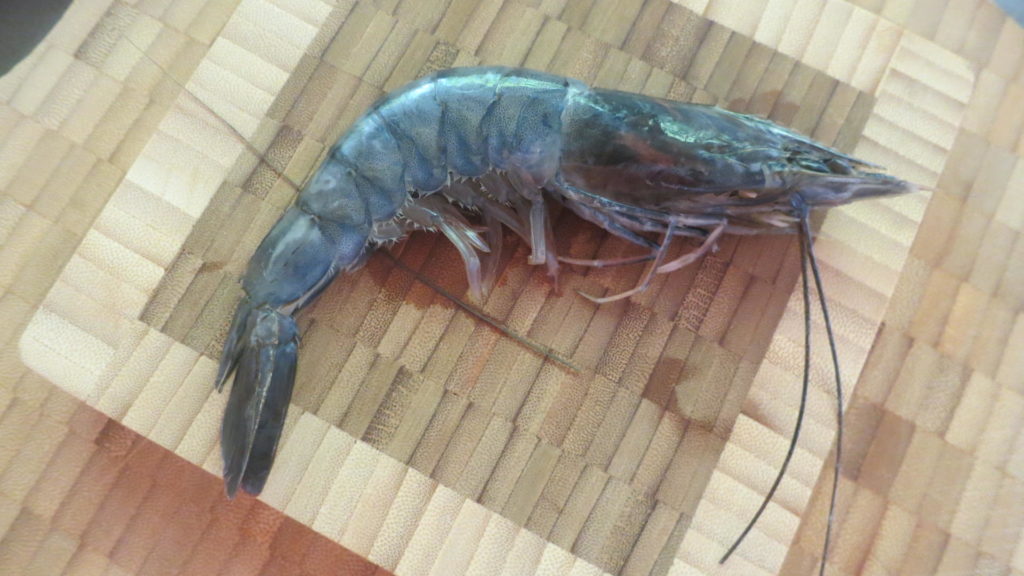 Shrimp Or Prawn Food Article Toski Sands Market Shrimp Or Prawn Food Article Toski Sands Market